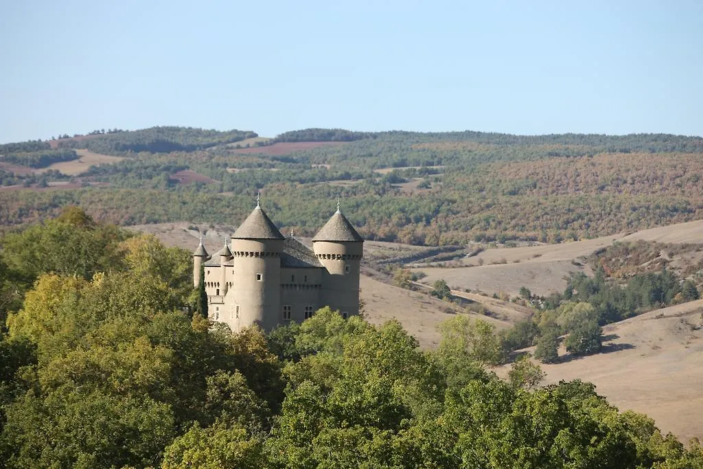 Chateau De Lugagnac Rivière-sur-Tarn Gasthuis